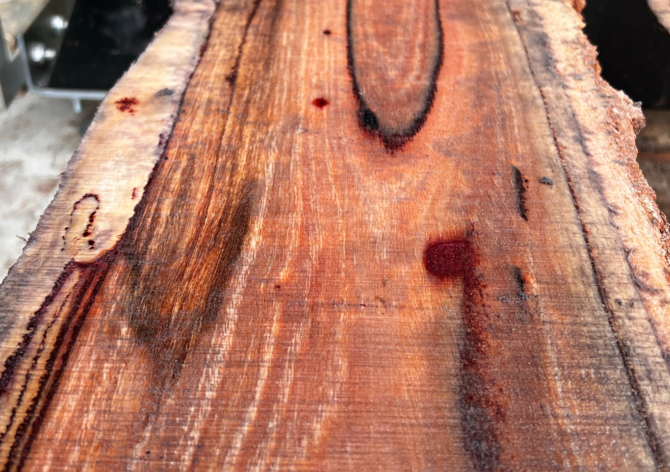 Red bloodwood timber