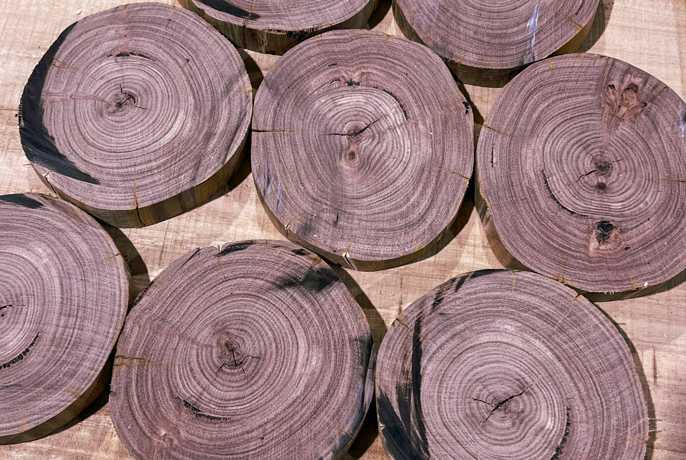 Sheoak timber