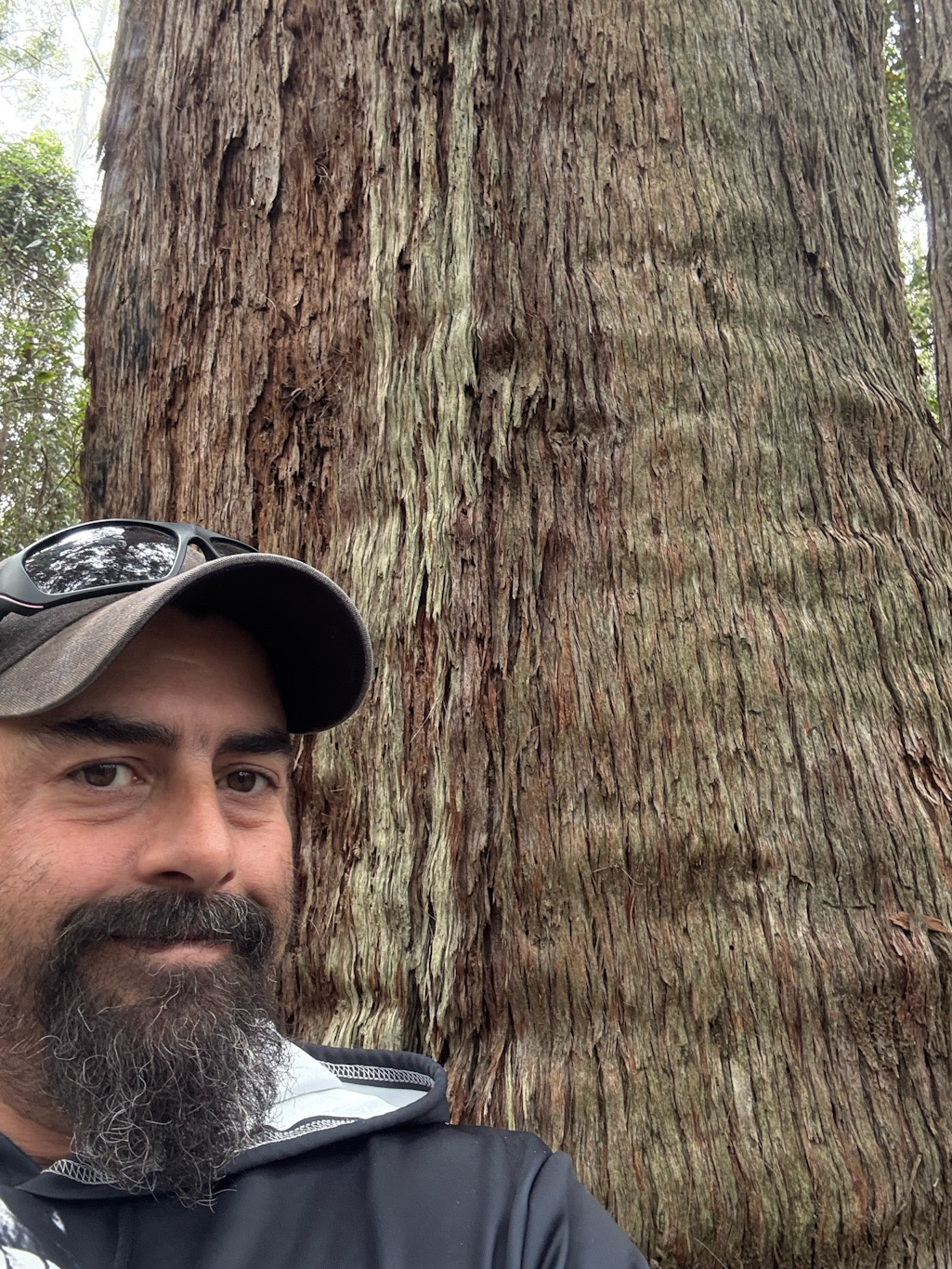 Tony standing beside a large tree in the forest