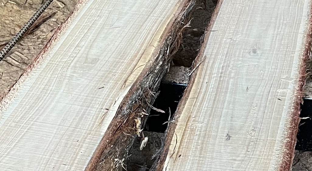 Yellow bloodwood timber